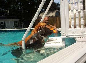 Prince Xuxu and Nora in Pool